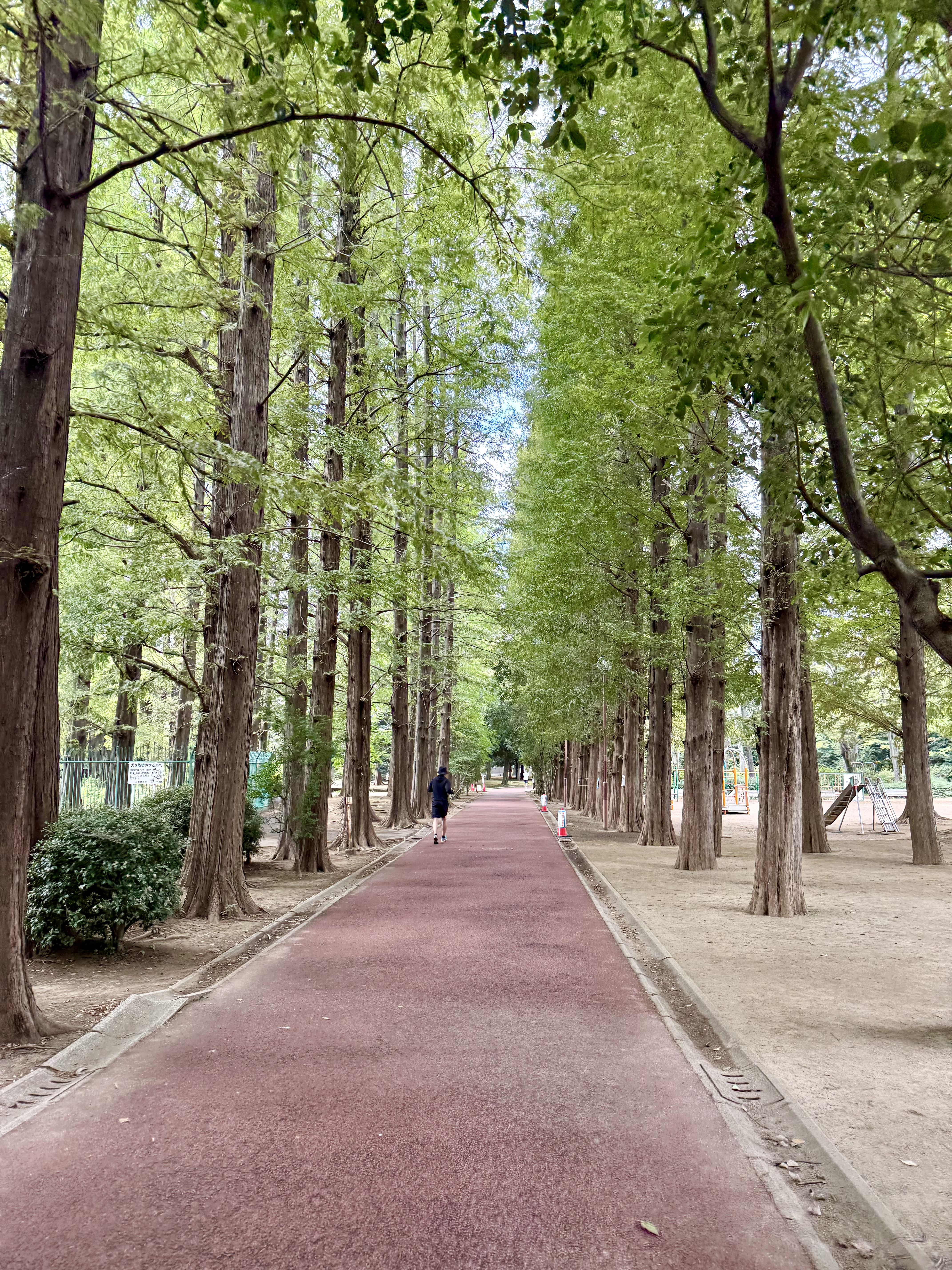 2025合宿公園 