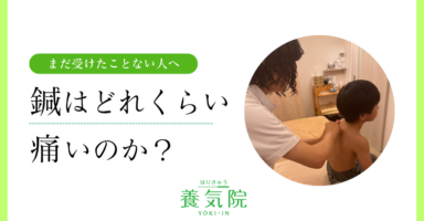 鍼を受けるのが好きな子で、たびたび鍼を受けています。