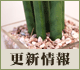 サイト更新情報